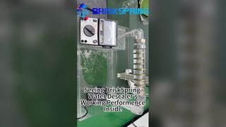 BriskSpring Water Descaler Performance Inside