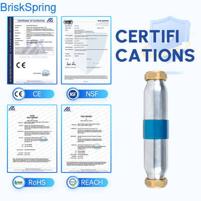 Wysokiej wydajności SAAS Turbo Chip Descaler wody z przepływem 5T / H i certyfikacji NSF dla całego domu systemów wodociągowych