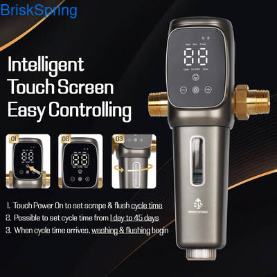 Certyfikowany przez NSF filtr wstępny wody ze stali nierdzewnej 316L z siatki z przepływem 6T/H i inteligentnym sterowaniem dotykowym