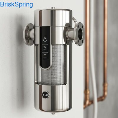 Wysoki przepływ 6T H 316L Woda z sieci ze stali nierdzewnej Filtr wodny dla całego domu z kontrolą dotykową