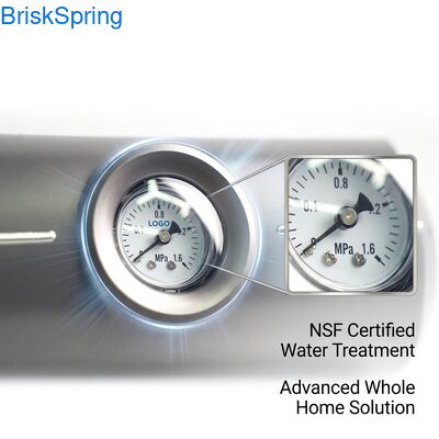 Odgrzewacz wody do całego domu 5T/H Przepływ NSF Certyfikowany RoHS